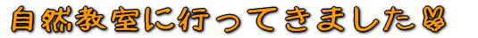 RɍsĂ܂